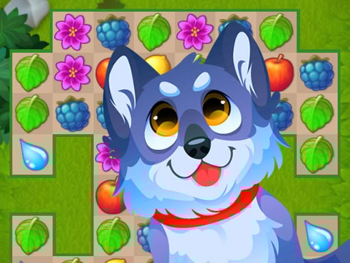 Garden Match Challenge 